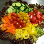 Pensionat U Zeleneho Stromu 3*